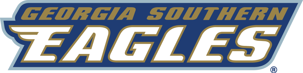 Georgia Southern Eagles 2004-Pres Wordmark Logo v2 diy fabric transfer